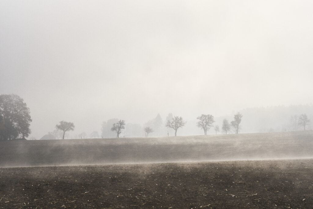 nebel