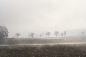 nebel