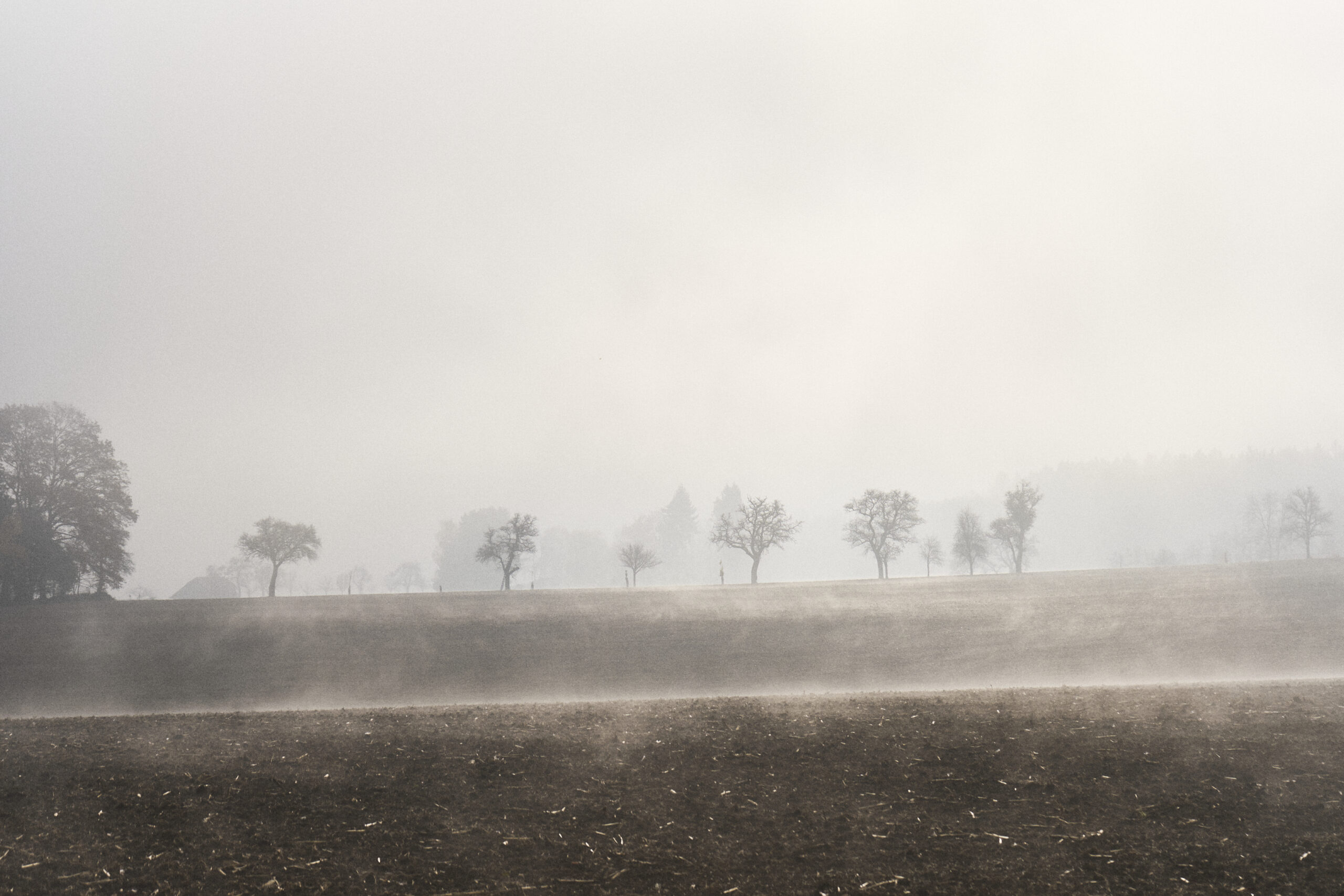 nebel